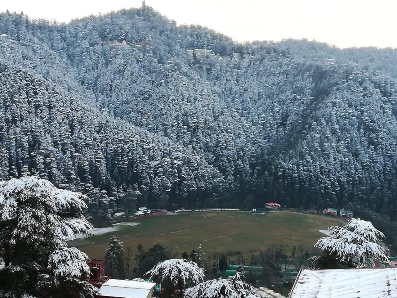 Bed and Breakfast Apple House Shimla Exterior foto